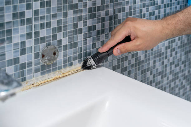 Best Basement Mold Remediation in Alba, NY