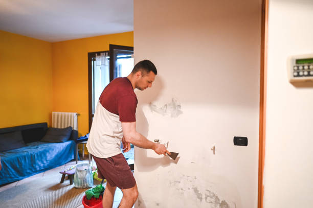 Best Health and Safety Mold Remediation in Alba, NY